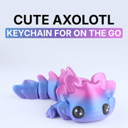 Cute Axolotl
