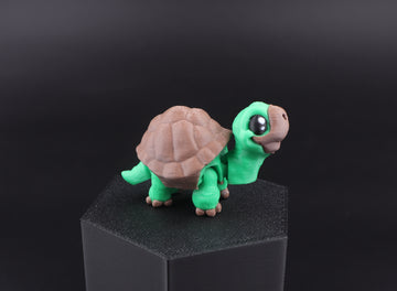 16b Turtle