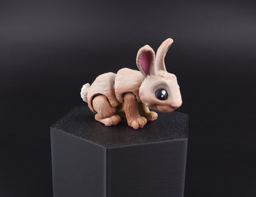 17a Rabbit