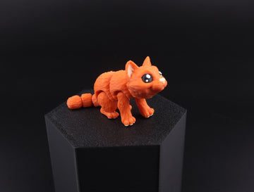 9a Orange Cat