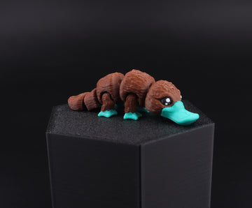 5a Platypus