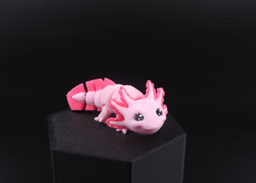14a Axolotl