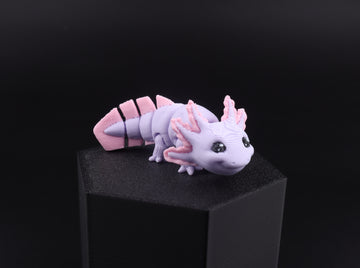 14b Axolotl