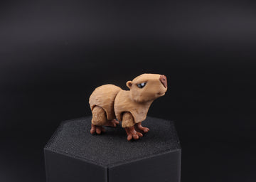 18a Capybara