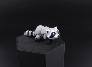 22a Raccoon