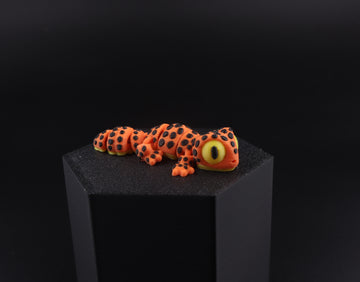 21a Leopard Geco