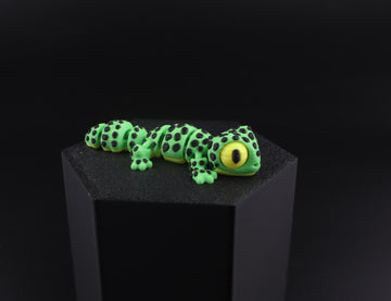 21b Leopard Geco