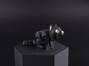 9d Black Cat