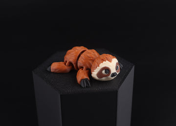 6a Sloth