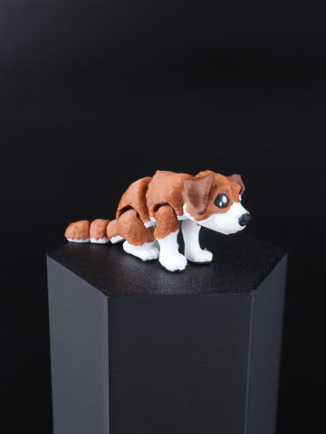 Dog Brown/White