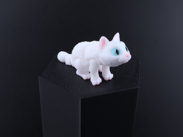 Cat White