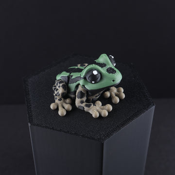 Swamp Frog