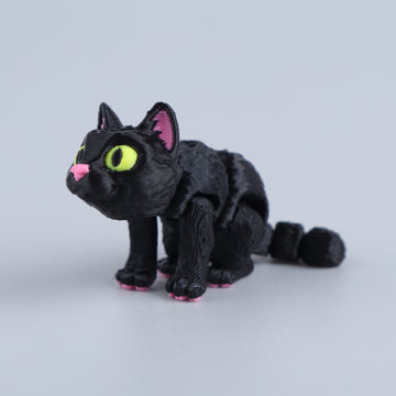 Cat Black