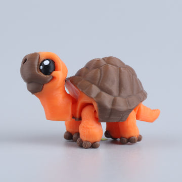 Turtle Orange