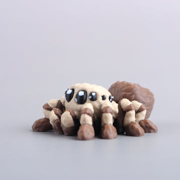 Spider Brown