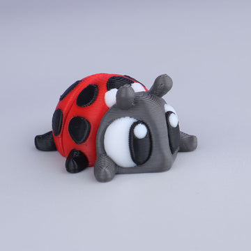 Ladybug
