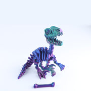 Raptor Skeleton