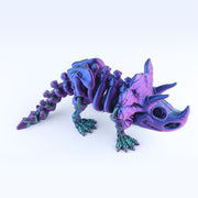 Triceratop Skeleton