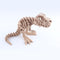 T-Rex Skeleton