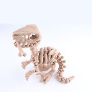 Raptor Skeleton