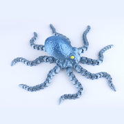 Octopus